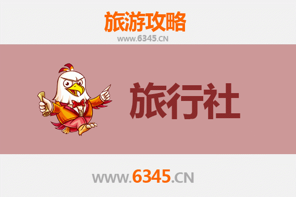 五指山番阳镇本地旅行社推荐 | 深度体验黎苗风情与热带雨林探险